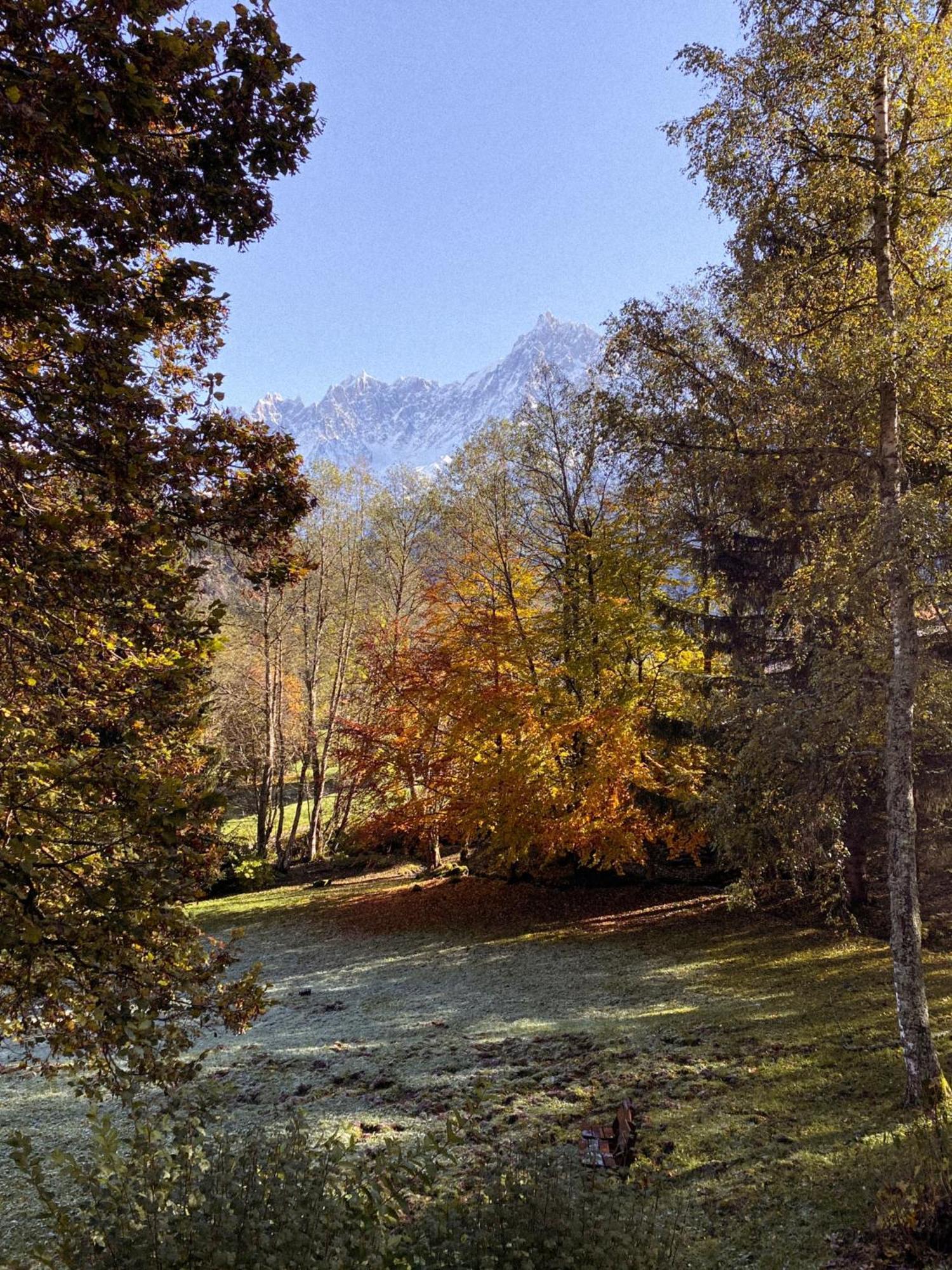 Chalet Vinales Les Houches Exterior foto